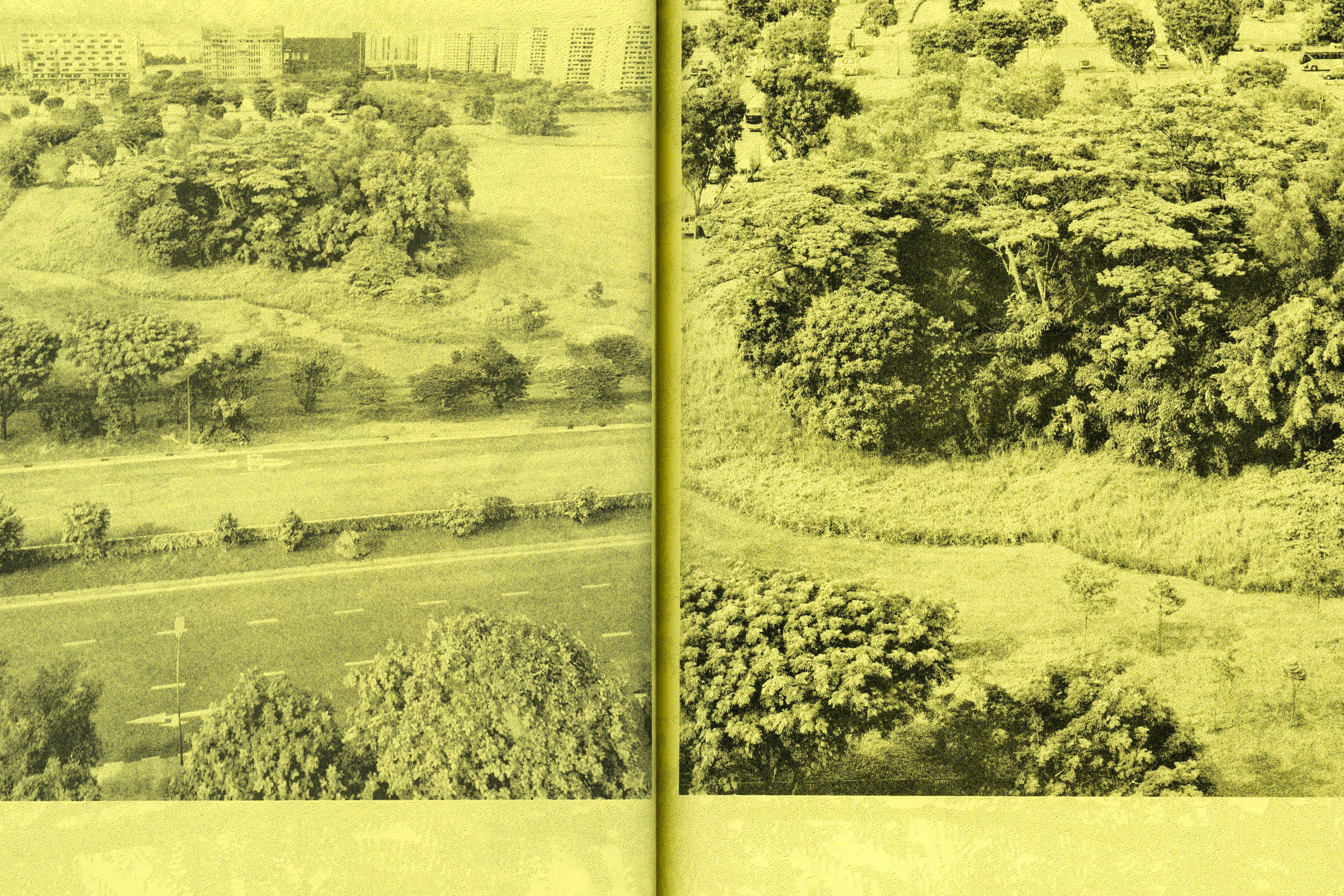 876 5 Albizias (artist publication), for Robert Zhao Renhui